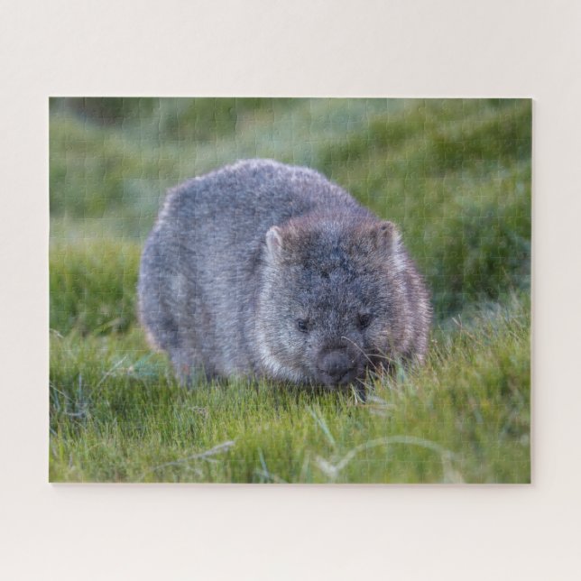 Quebra-cabeça Mulher Incrível na Austrália de Grass, 520 peças (Horizontal)