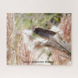 Quebra-cabeça Munia de peito calmo; Bird Lover