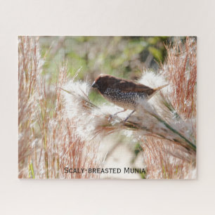 Quebra-cabeça Munia de peito calmo; Bird Lover
