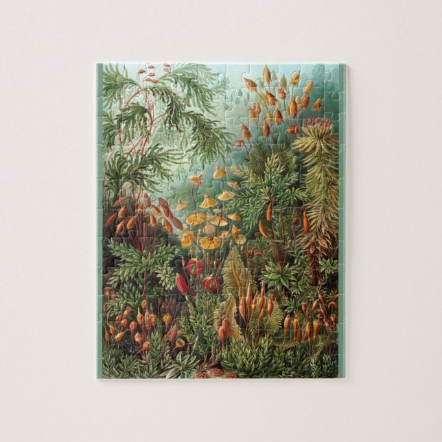 Quebra-cabeça Muscinae - Ernst Haeckel 8x10 (Vertical)