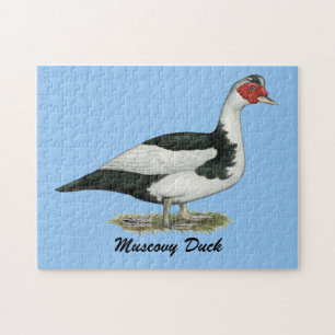 Quebra-cabeça Muscovy Black Pied Drake