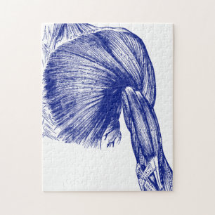 Quebra-cabeça Músculos humanos da anatomia do vintage da caixa