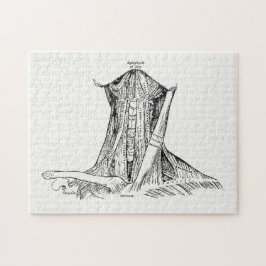 Quebra-cabeça Músculos velhos da ilustração da anatomia do