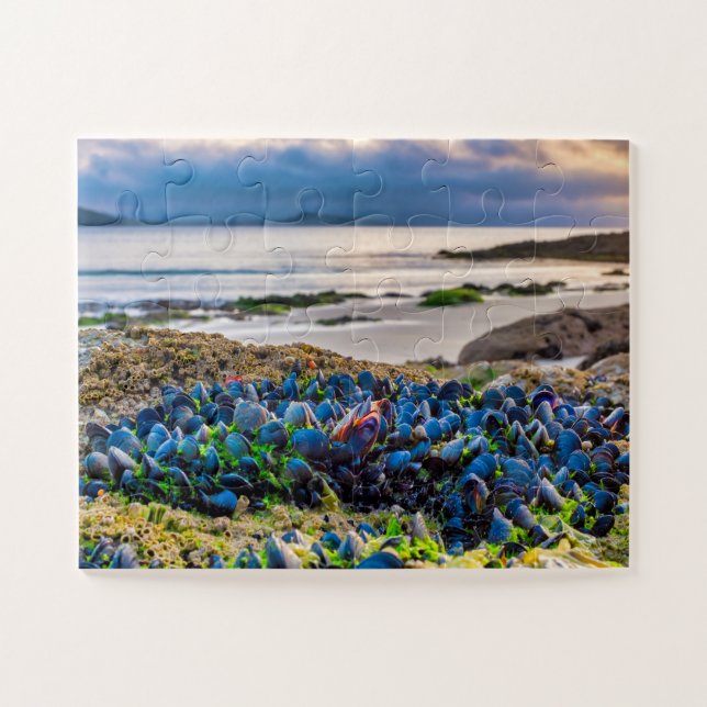 Quebra-cabeça Mussels (Horizontal)