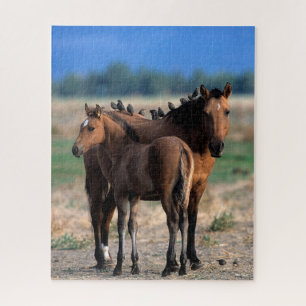 Quebra-cabeça Mustang Mare e Foal em Pássaros