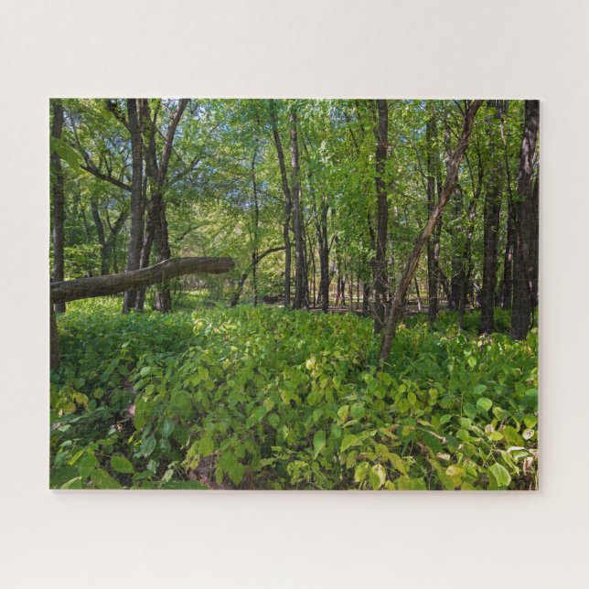 Quebra-cabeça na floresta em fort snelling state park (Horizontal)