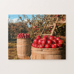Quebra-cabeça Na foto do campo das árvores do pomar de Apple da