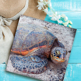 Quebra-cabeça Na moda de Fotografia da Tartaruga do Mar de Honu 