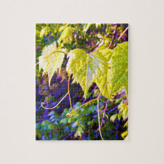 Quebra-cabeça Napa Valley