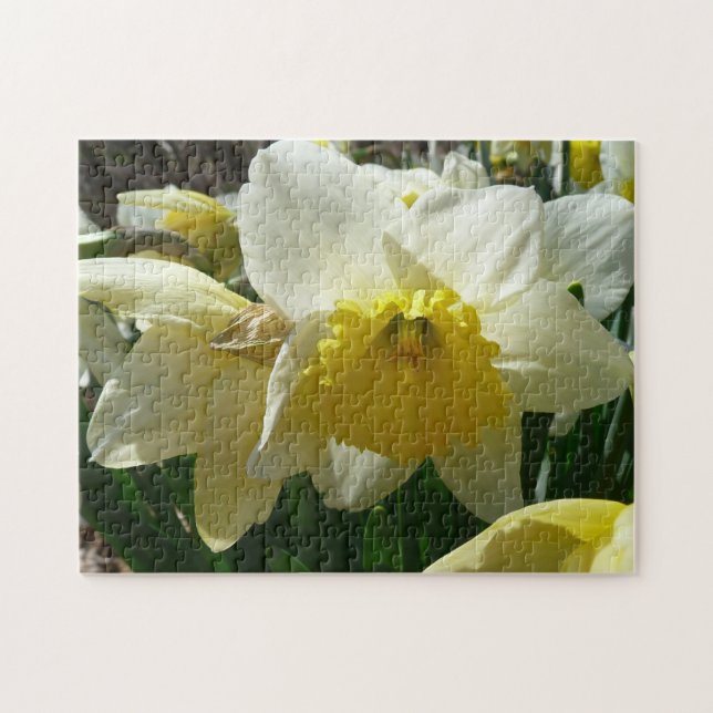 Quebra-cabeça Narciso Amarelo e Branco Floral de Primavera (Horizontal)