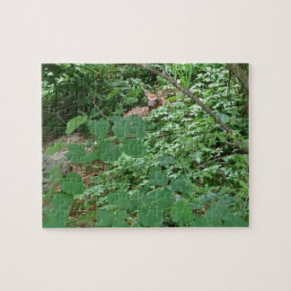 Quebra-cabeça NASCIDO DOS Corações! —