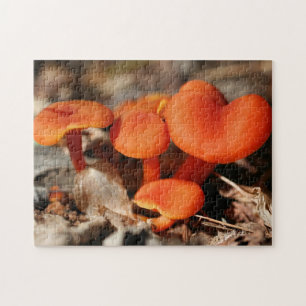 Quebra-cabeça Natureza da família Orange Mushroom