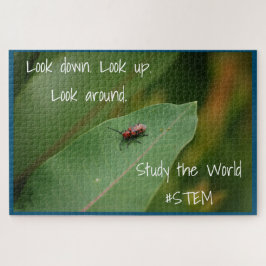 Quebra-cabeça Natureza das folhas de insetos STEM