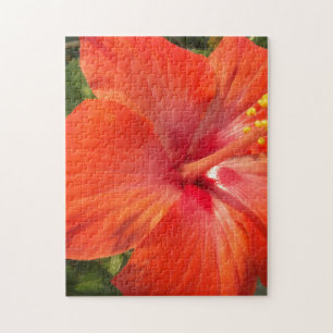 Quebra-cabeça natureza, hibisco, flor, verão, floral, tropical