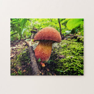 Quebra-cabeça Natureza vibrante Rei Bolete