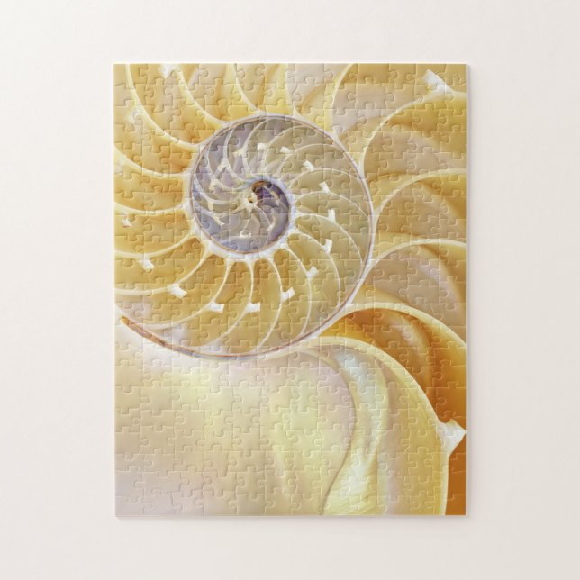 Quebra-cabeça Nautilus (Vertical)