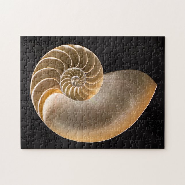 Quebra-cabeça Nautilus Seashell (Horizontal)