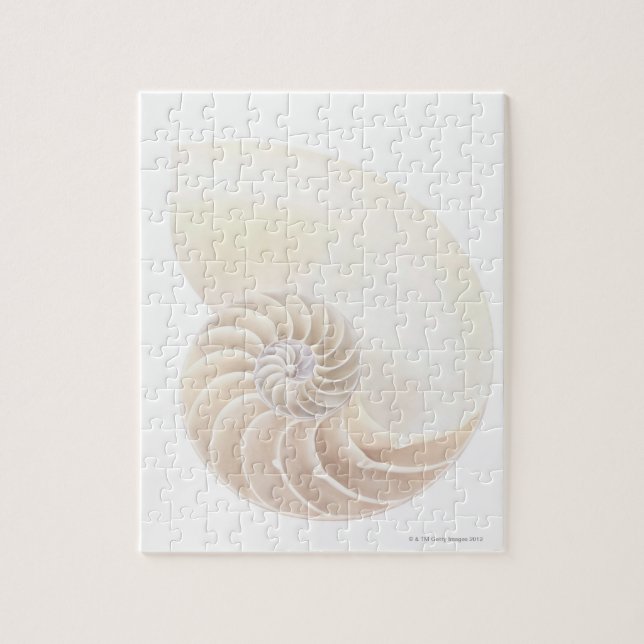 Quebra-cabeça Nautilus Shell (Vertical)