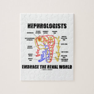 Quebra-cabeça Nefrologistas Abrangem O Mundo Renal (Nethron)