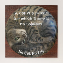 Nenhum Gato Nenhuma Vida
