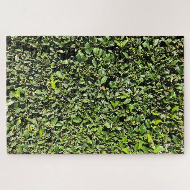 Quebra-cabeça nenhum hedge (Horizontal)