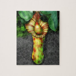 Quebra-cabeça Nepenthes, Pitcher Plant Illustration