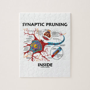Quebra-cabeça Neurologia interna de poda Synaptic da sinapse do