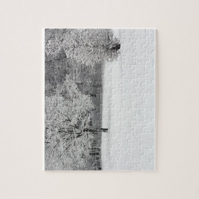 Quebra-cabeça Neve no Parque (Vertical)