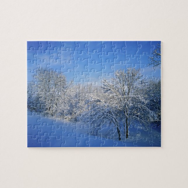 Quebra-cabeça Neve recorde em Louisville, Kentucky. (Horizontal)