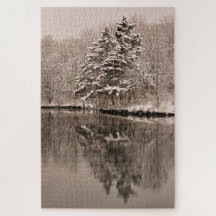 Neve Sobre Lago Winter Wonderland Vintage Landscap