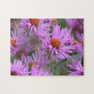 Quebra-cabeça New England Rosa Asters Flower Art