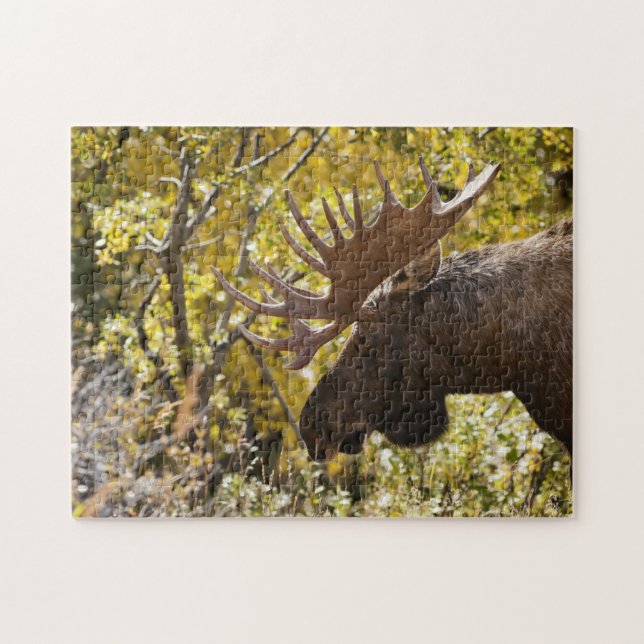 Quebra-cabeça Noble Bull Moose (Horizontal)