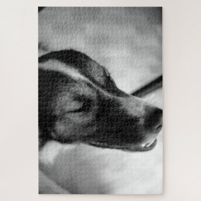 Quebra-cabeça Noite de Cachorro (Vertical)