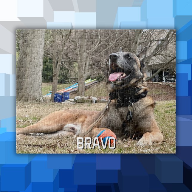 Quebra-cabeça Nome e Foto de Pet de Cachorro, Noite de Família,  (Criador carregado)