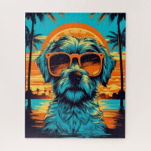 Norfolk Terrier com óculos escuros na praia