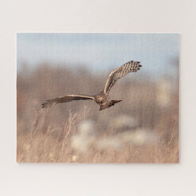 Quebra-cabeça Norte Harrier (Horizontal)