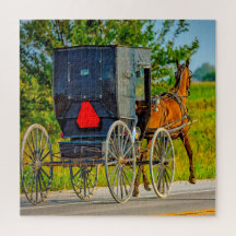 Nós amamos as carruagens Amish em Iowa.