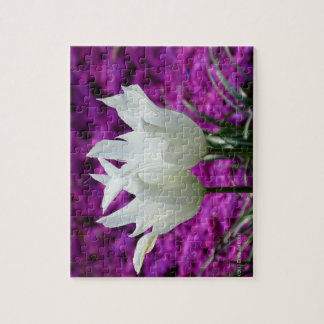 Quebra-cabeça Nós Dois