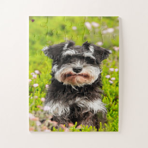 Quebra-cabeça Nosso Schnauzer Nosso Animal de Estimação da Famíl