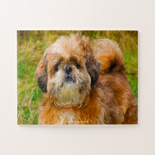Quebra-cabeça Nosso Shih Tzu nosso animal de estimação da