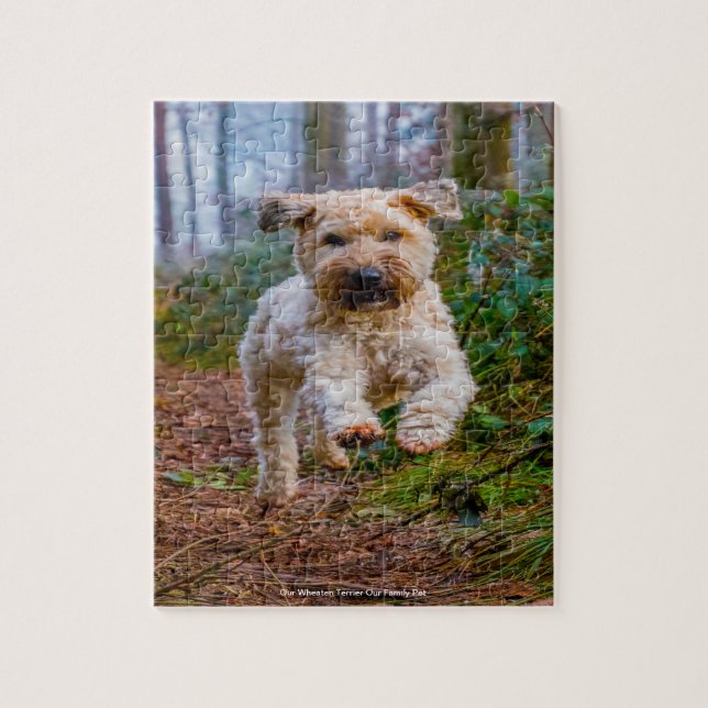 Quebra-cabeça Nosso Terrier Wheaten Nosso Animal de Estimação da (Vertical)