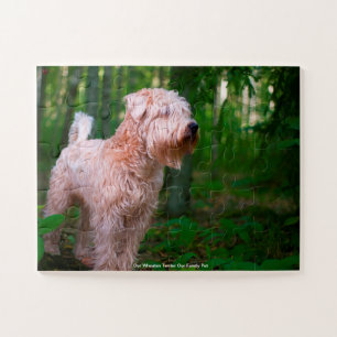 Quebra-cabeça Nosso Terrier Wheaten Nosso Animal de Estimação da