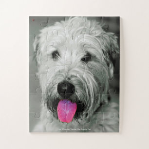 Quebra-cabeça Nosso Terrier Wheaten Nosso Animal de Estimação da