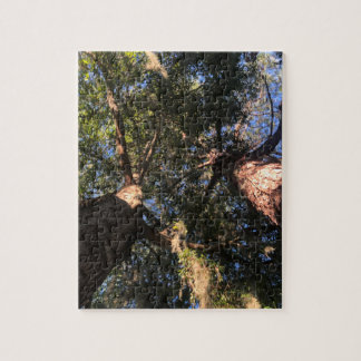 Quebra-cabeça Nova Perspectiva