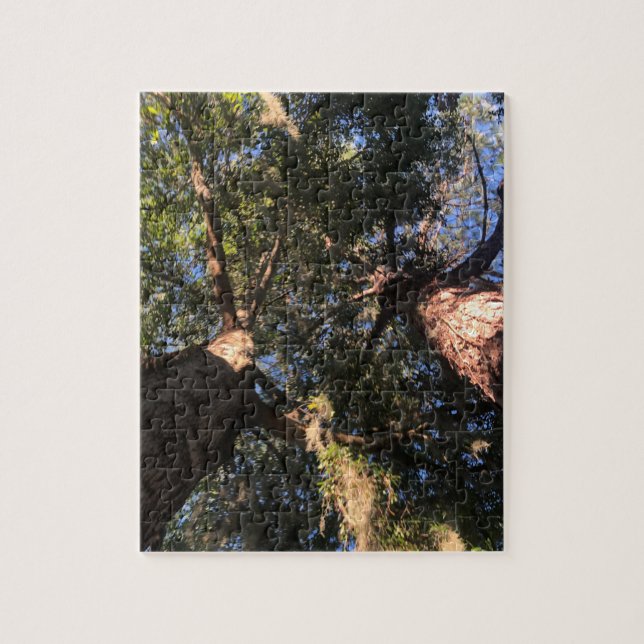 Quebra-cabeça Nova Perspectiva (Vertical)