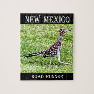 Quebra-cabeça Novo Roadrunner do México