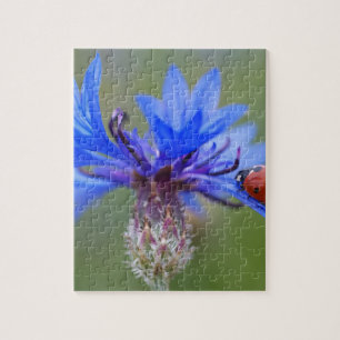 Quebra-cabeça O azul floresce videira da arte do destino do amor