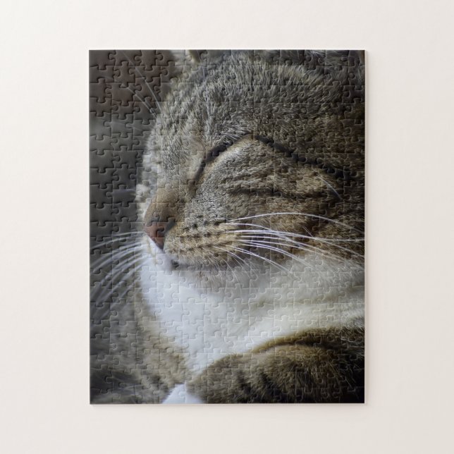 Quebra-cabeça O Bela Adormecida - Gato Tabby (Vertical)