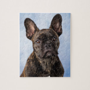 Quebra-cabeça O buldogue francês