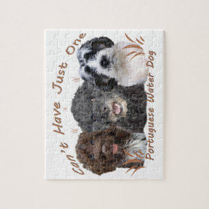 Quebra-cabeça O Cão de Água Português não pode ter apenas um